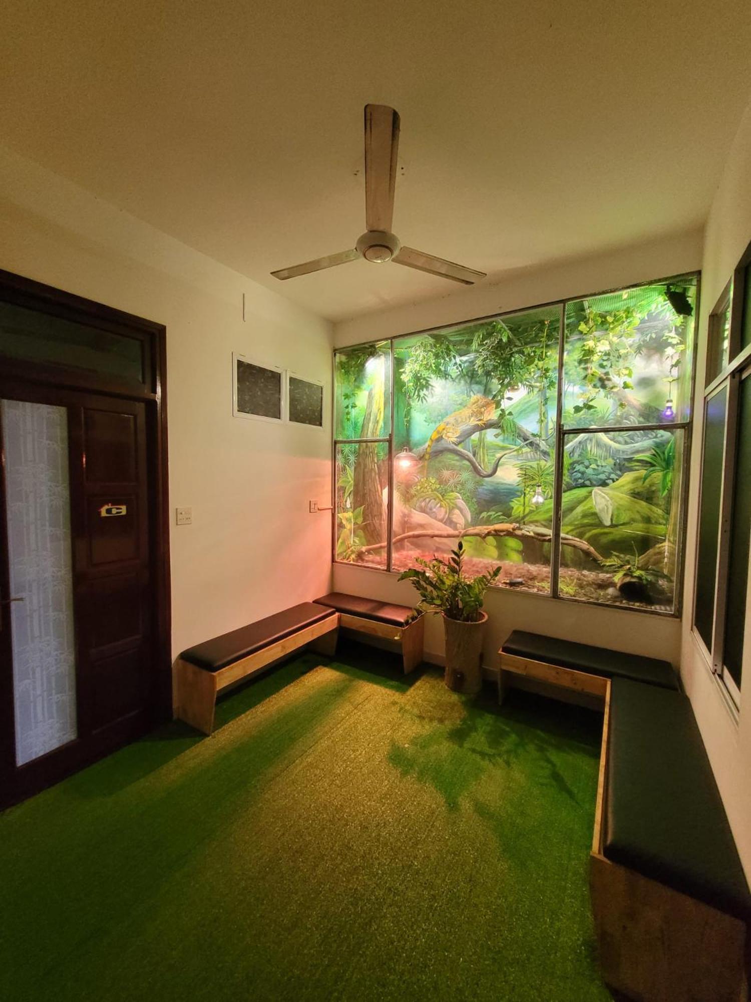 Jungle Dorm Nha Trang Hostel Buitenkant foto